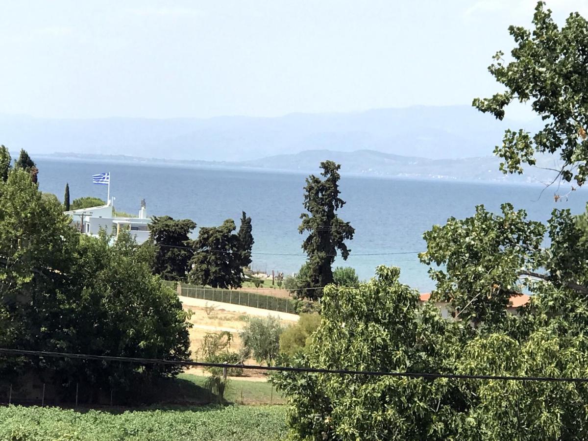 Studio Kalypso Arkítsa Esterno foto