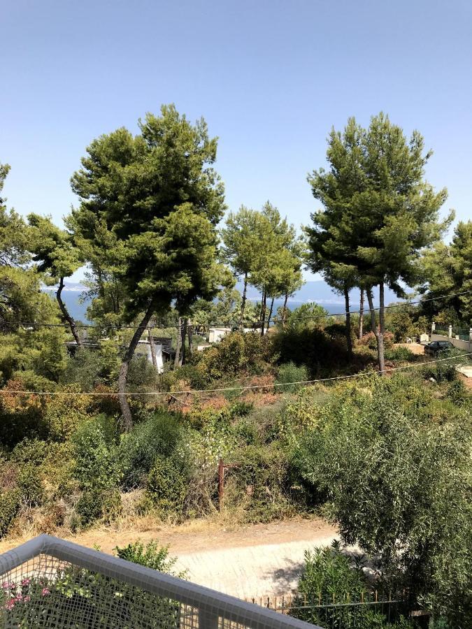 Studio Kalypso Arkítsa Esterno foto